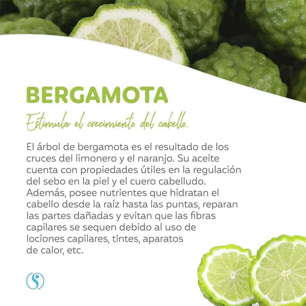 Shampoo de Bergamota
