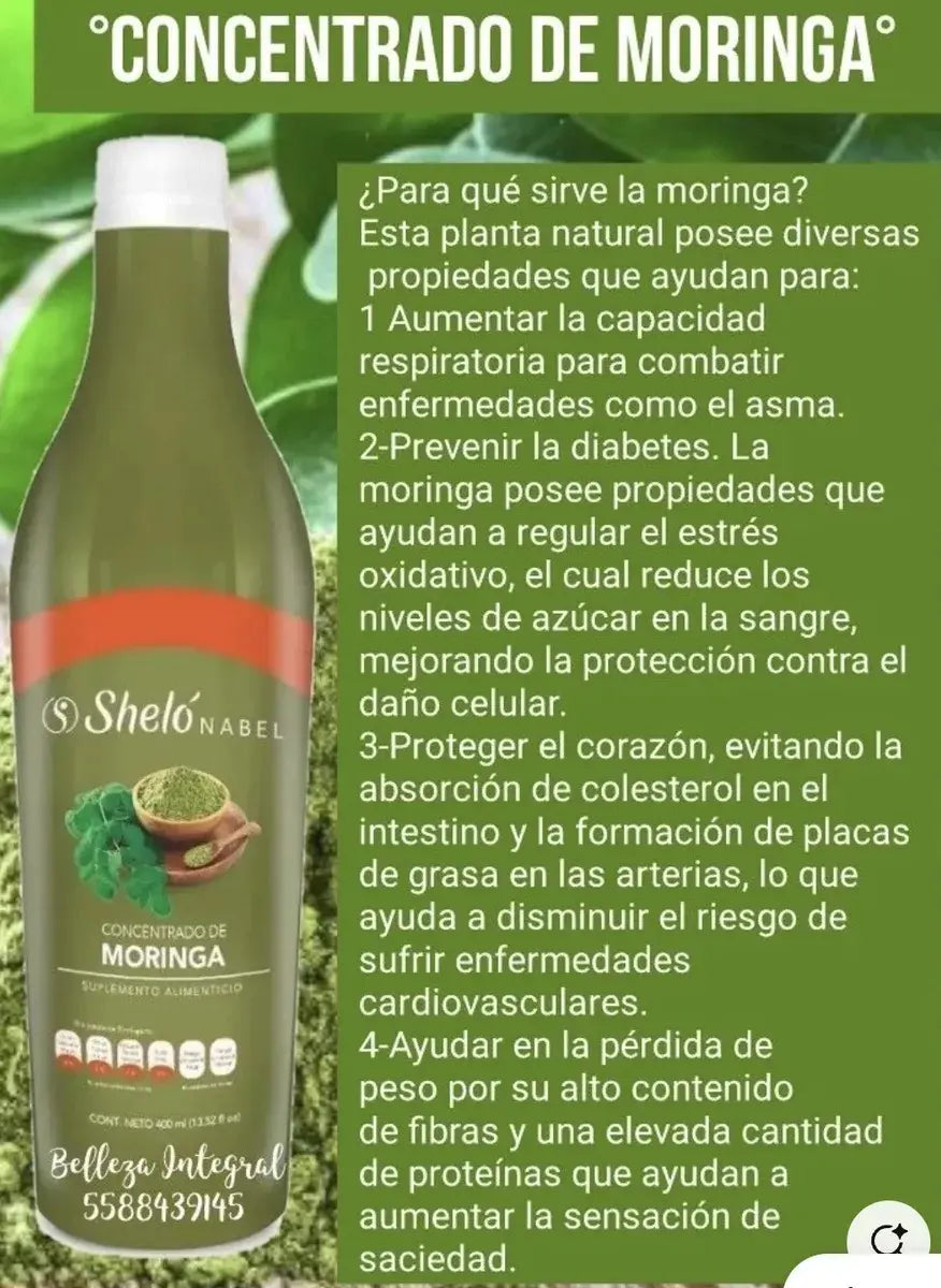 Concentrado de Moringa