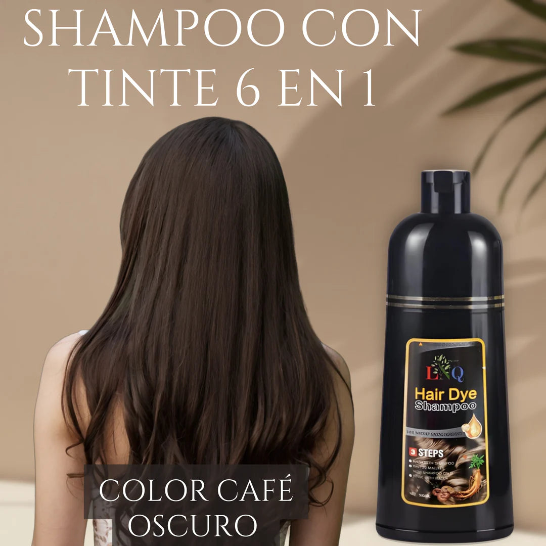 Shampoo con tinte natural 6 en 1 de Ginseng
