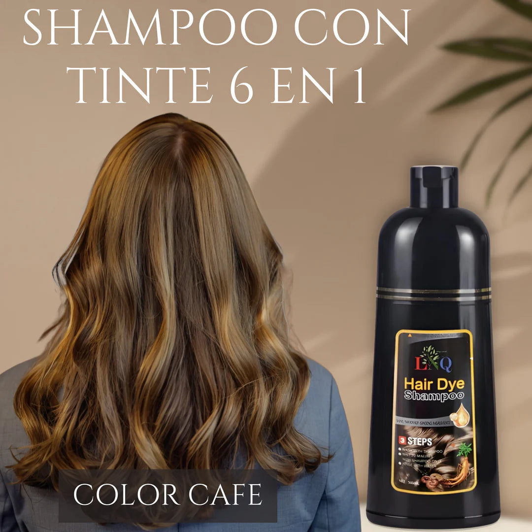 Shampoo con tinte natural 6 en 1 de Ginseng