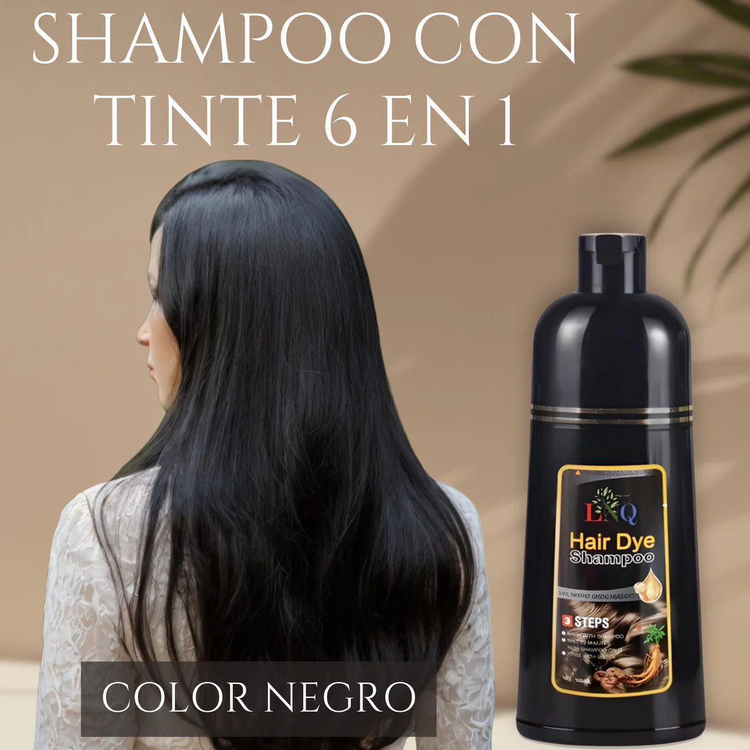 Shampoo con tinte natural 6 en 1 de Ginseng