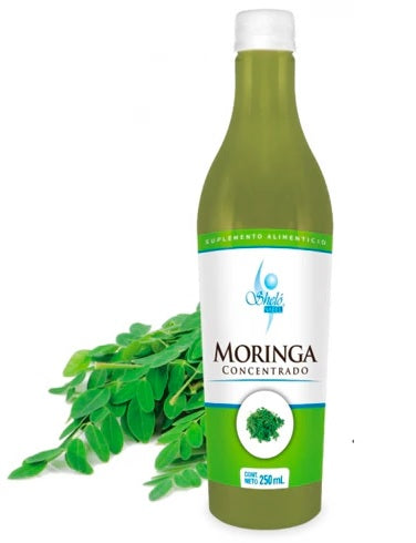 Concentrado de Moringa